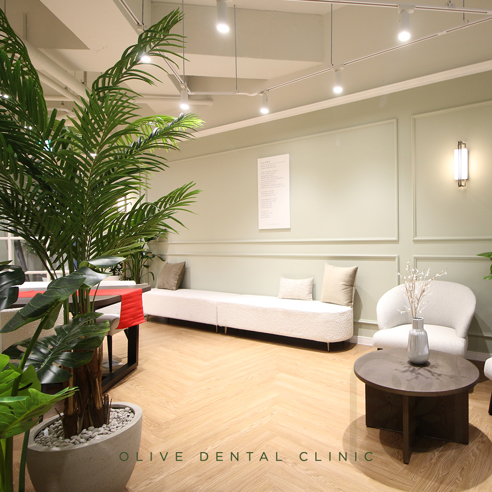 올리브치과 임플란트