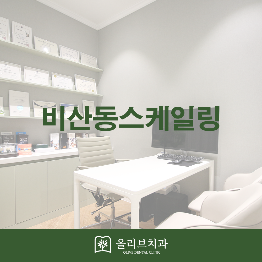 비산동스케일링