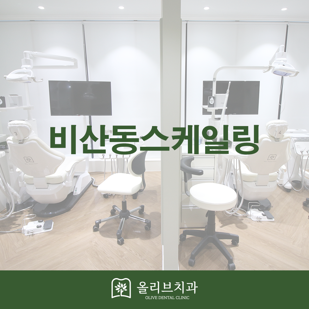 비산동스케일링