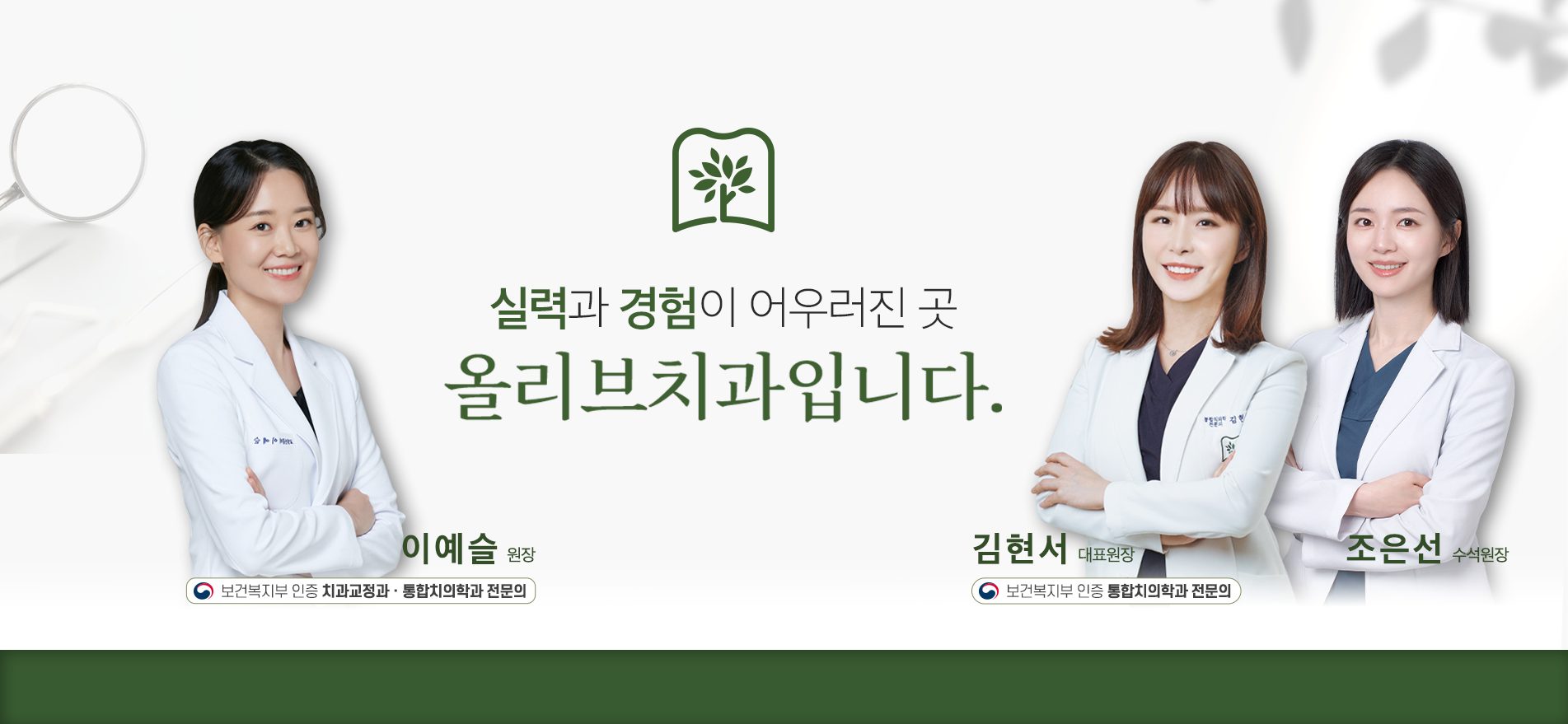 (올리브)pc_dev_skin